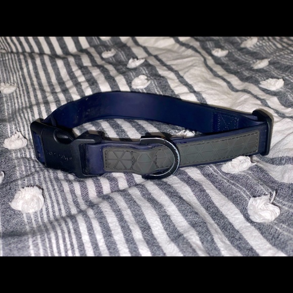BUNDLE Dog Collar and Leash - Picture 1 of 4